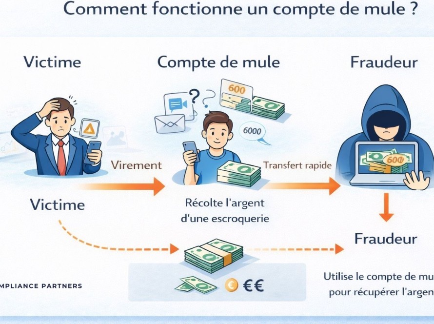 compte de mule